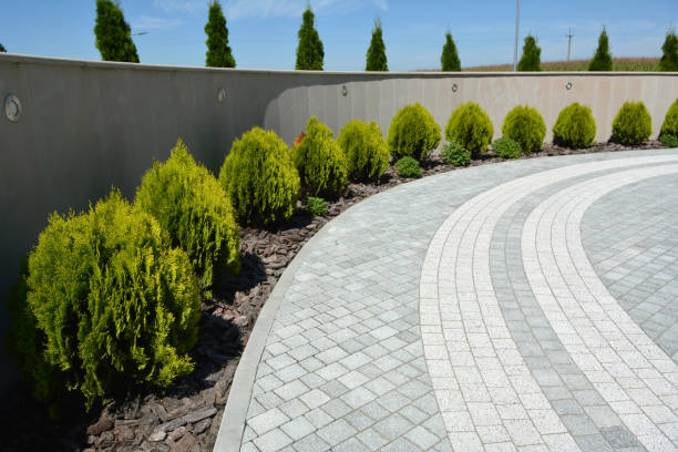 Best Driveway Pavers Near Me  in Pierce City, MO